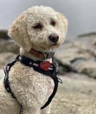 Book an Appointment with Ruby Richards for Trauma-informed Registered Massage Therapy