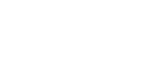 E3 Chiropractic + Wellness 