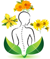 Book an Appointment with Ananda Jamieson for Massage Therapy