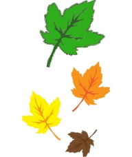 Book an Appointment with Teresa Lamb for Registered Massage Therapy