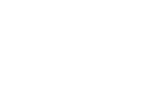 Lu Physiotherapy & Wellness