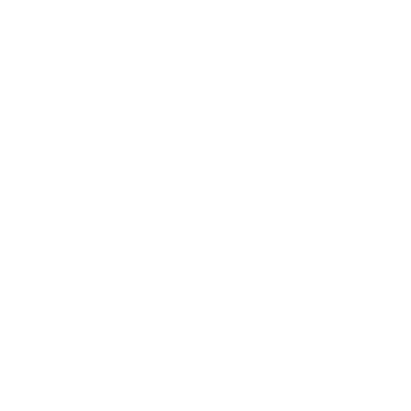 The Face Lab